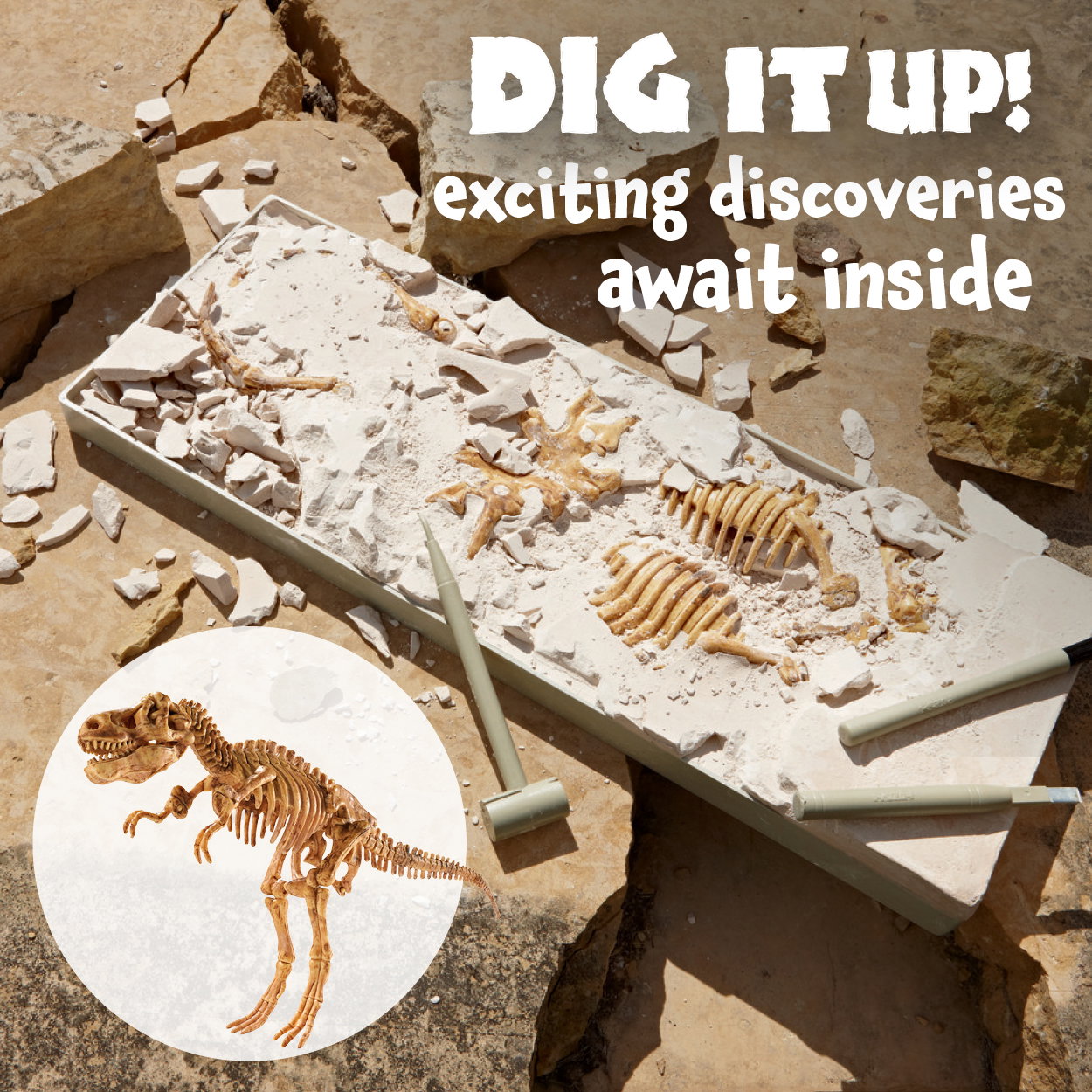 Dig It Up! Exciting Discoveries Await Inside