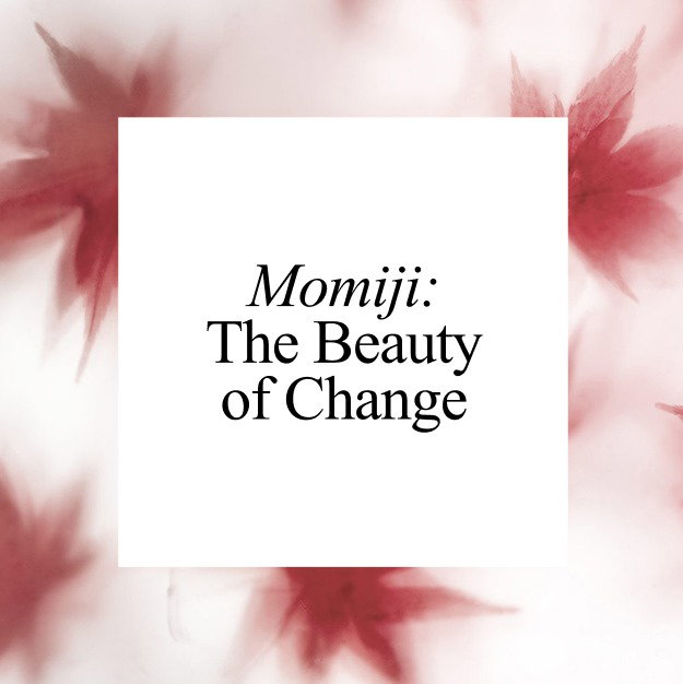 Momiji: The Beauty of Change