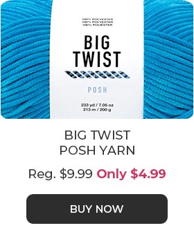 Big Twist Posh Yarn