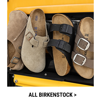 ALL BIRK