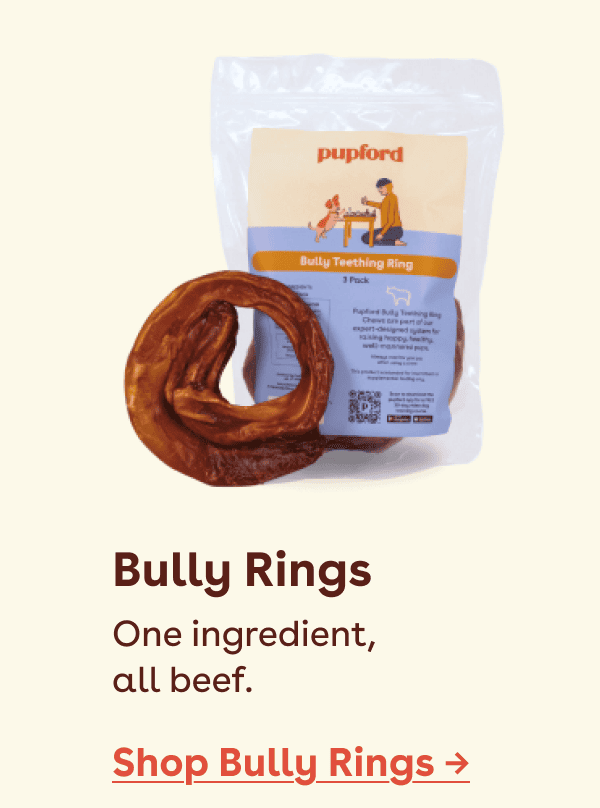 Shop Bully Rings.