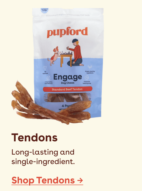 Shop Tendons