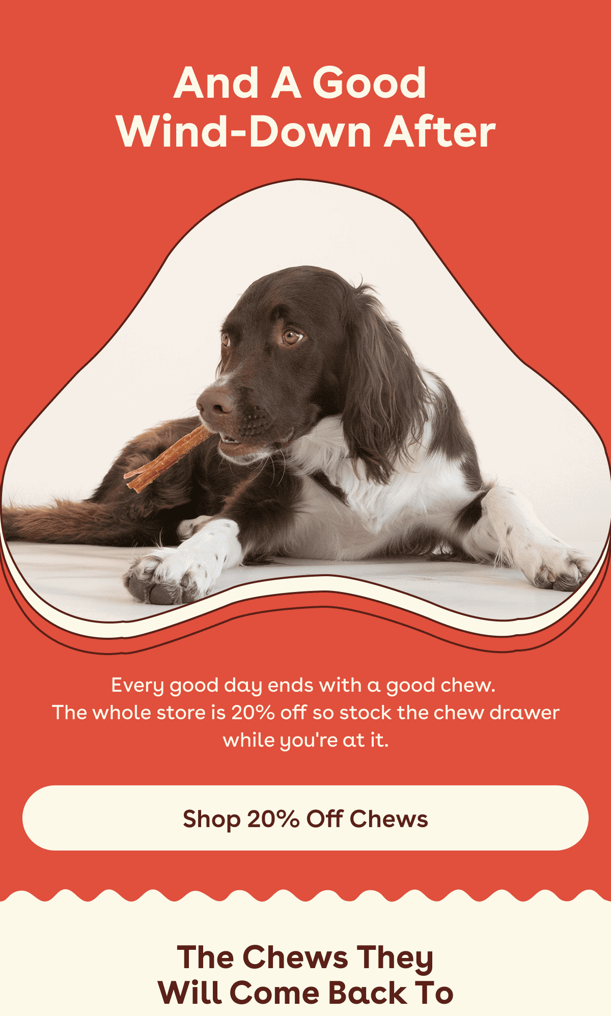 Every good day ends with a good chew.  The whole store is 20% off so stock the chew drawer while you're at it.