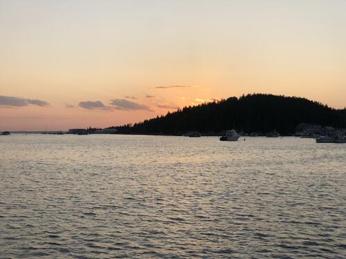 Last-Minute Cruises