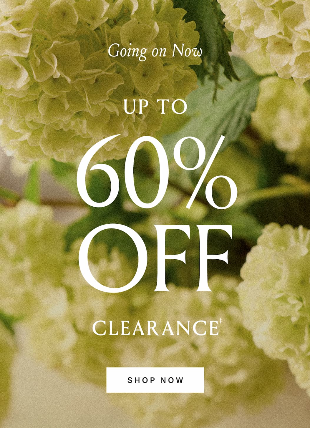 Up To 60% Off Clearance | Shop Now