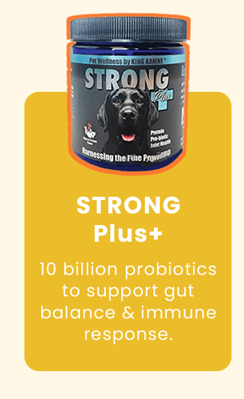 STRONG Plus+: 10 billion probiotics to support gut balance & immune response.