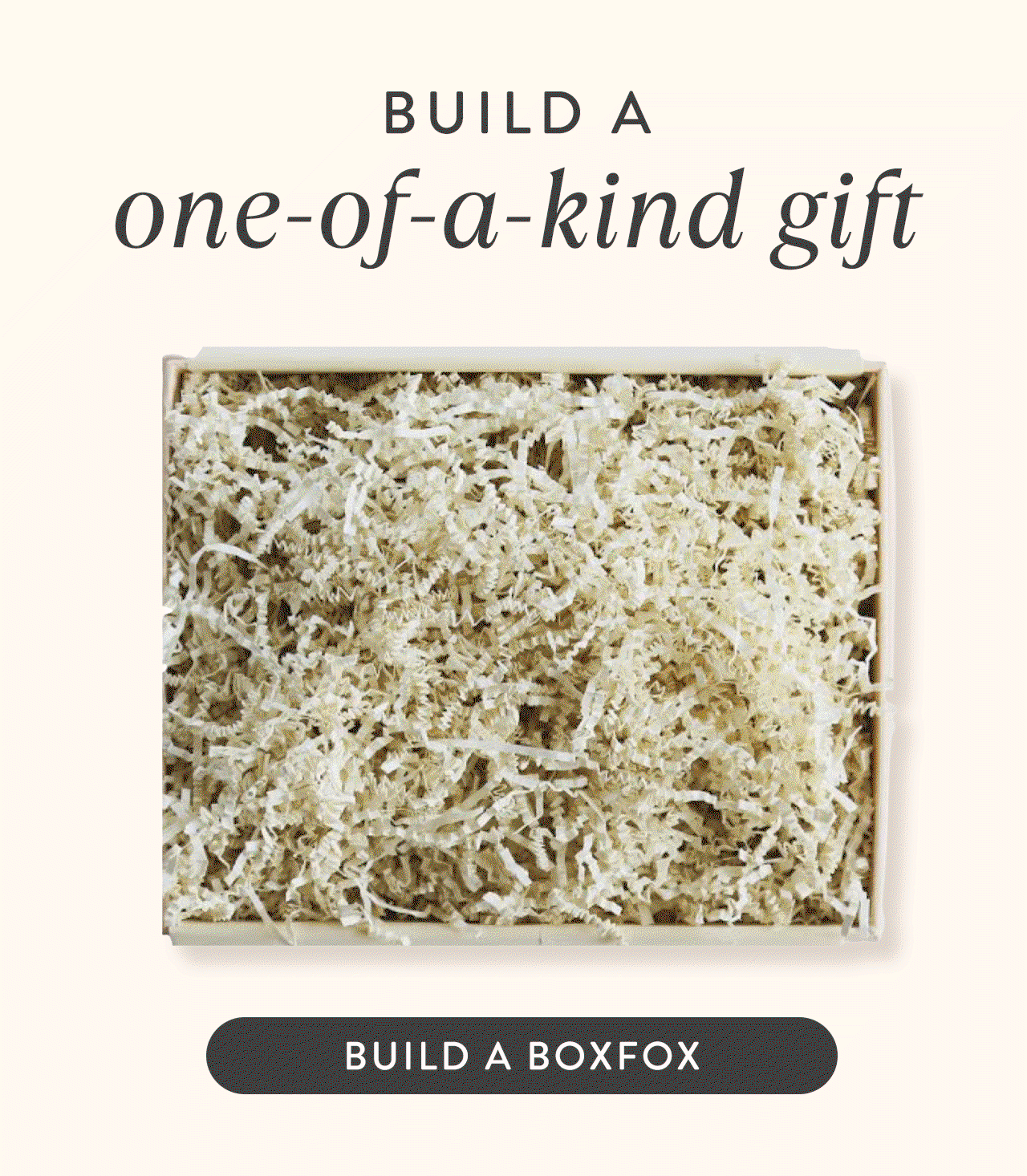 Build a BOXFOX 