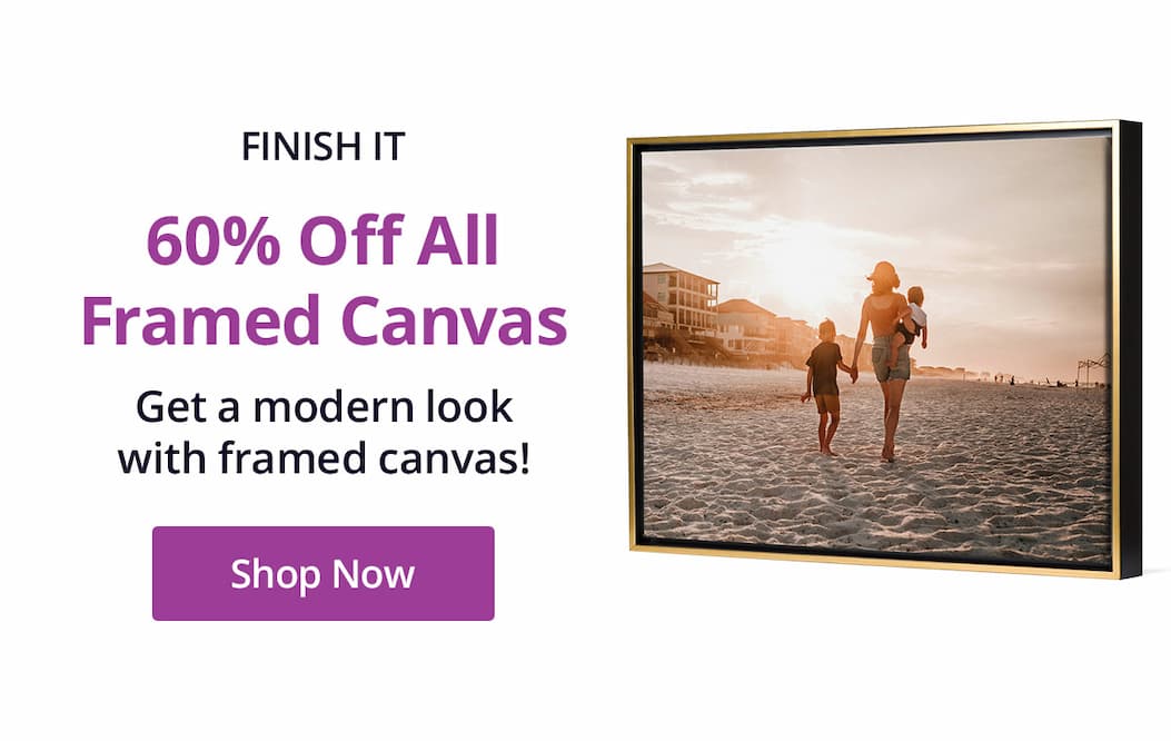 Finish It: 60% off all Framed Canvas! Get a modern look with framed canvas! Shop Now