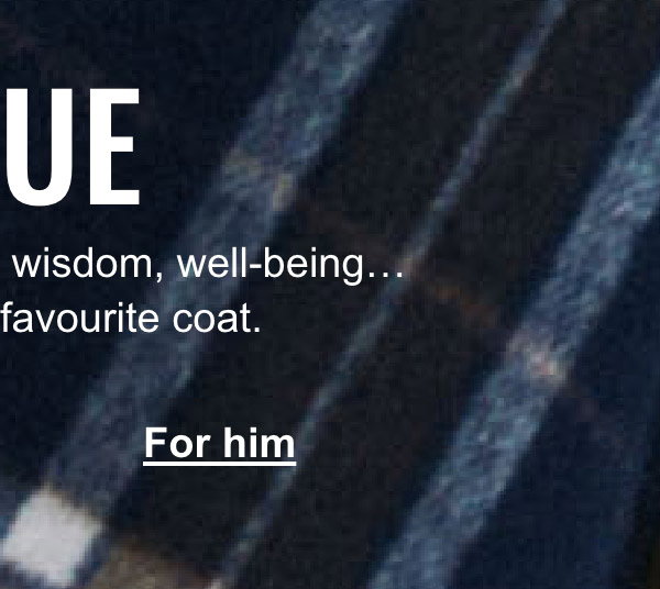 Blue; The colour of dreams, wisdom, well-being… and your new favourite coat.