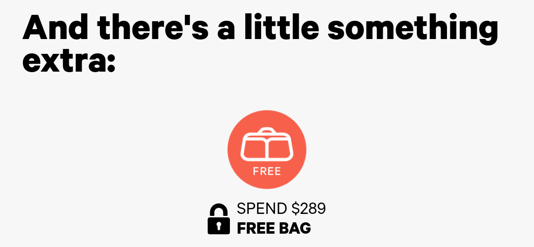 Spend $289+ and get a bag on us