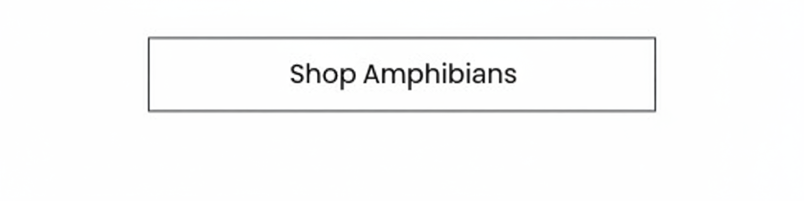 Shop Amphibians