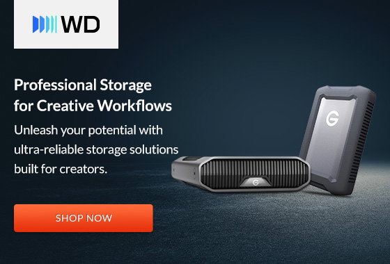 WD Professional Storage | Shop Now
