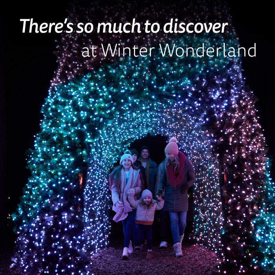 There’s so much to discover at Winter Wonderland