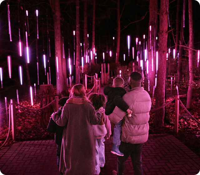 Enchanted Light Garden
