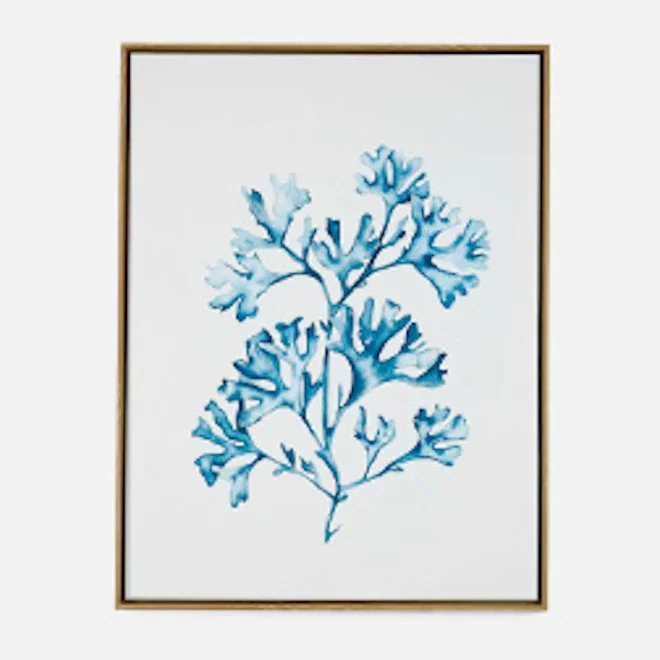 Humble & Mash Framed Portrait Staghorn Coral Canvas Wall Art, 80cm x 60cm