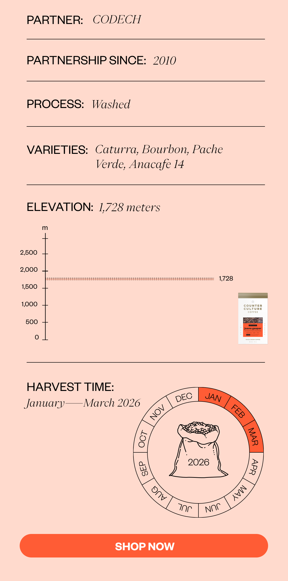 Partner: CODECH Partnership since: 2010 Process: Washed Varieties: Varieties: Caturra, Bourbon, Pache Verde, Anacafe 14 Harvest Time: January - March 2026 SHOP NOW