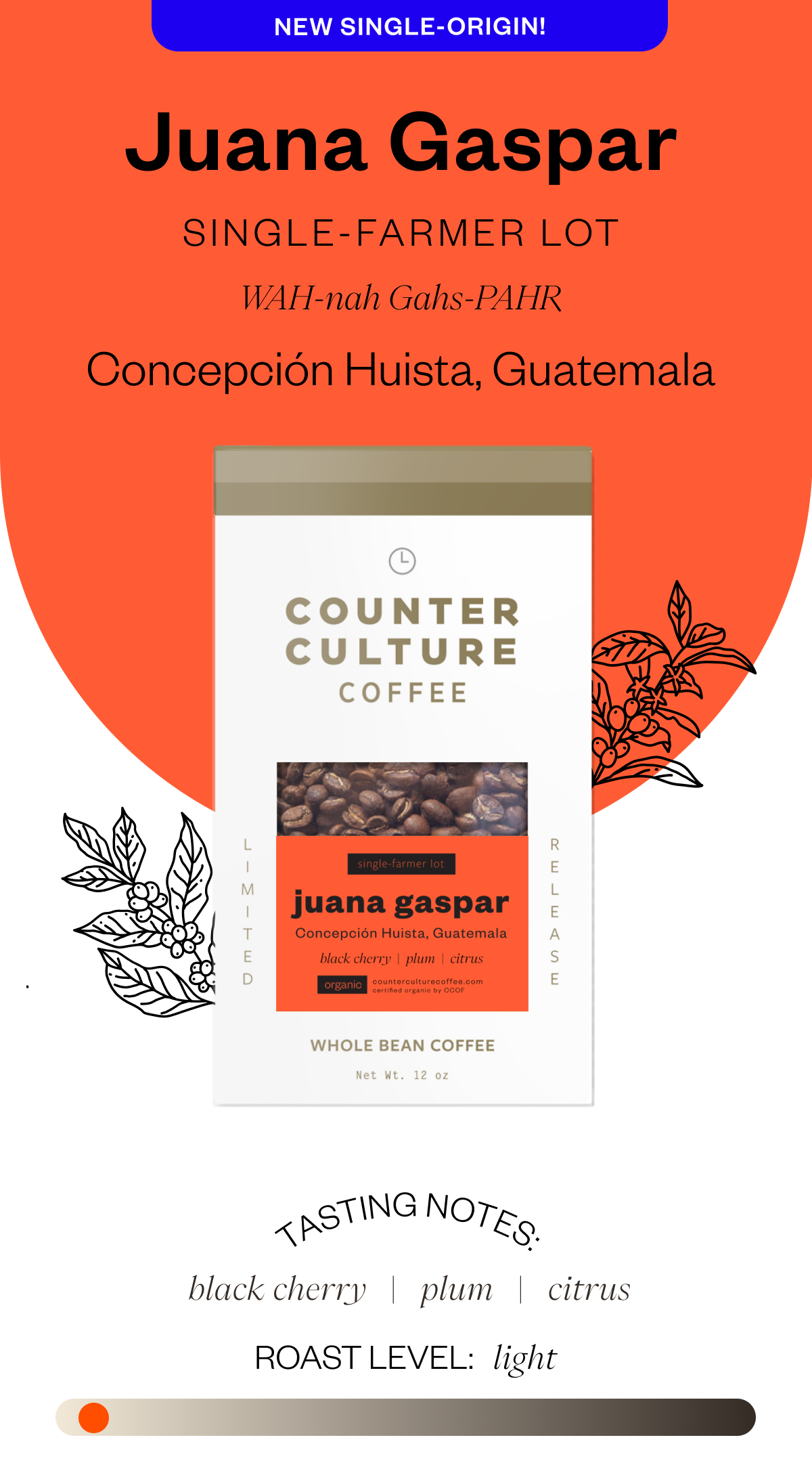 New Single - Juana Gaspar Single - Farmer Lot WAH-nah Gahs - PAHR Concepción Huista, Guatemala Tasting Notes: black cherry plum citrus Roast level: Light 