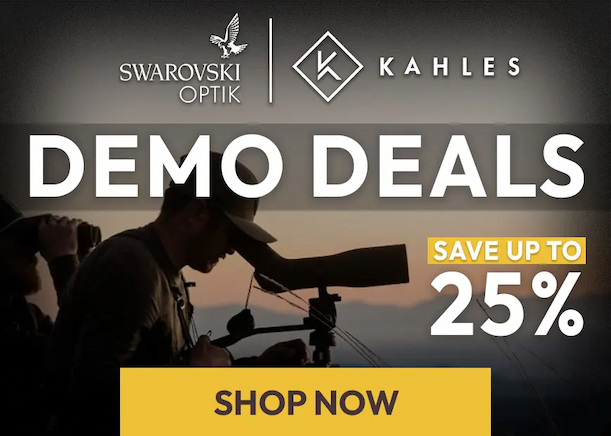 Swarovski Demo Deals - Save up to 25%