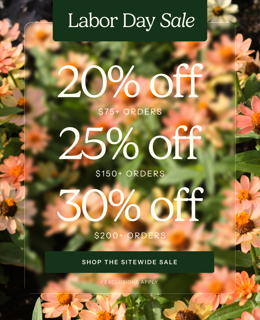 Labor Day Sale - 20% off $75+, 25% off $150+, 30% off $200+ - Exlclusions Apply
