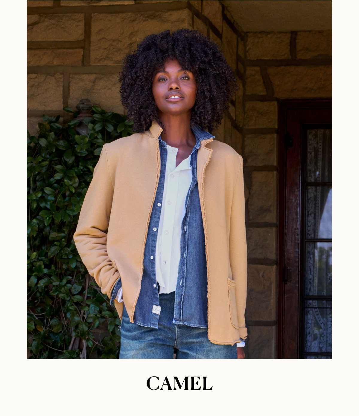 camel