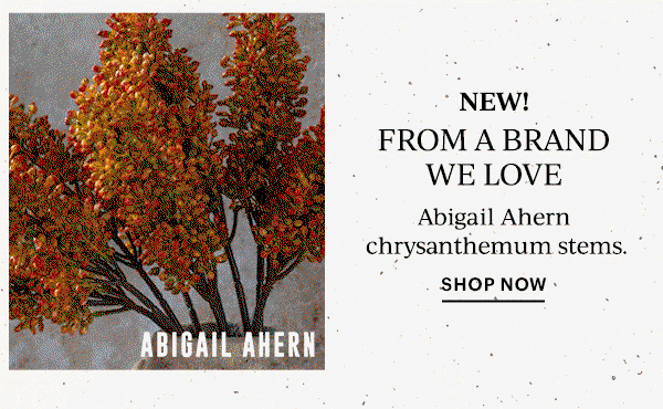 NEW!  FROM A BRAND WE LOVE  Abigail Ahern chrysanthemum stems.  SHOP NOW