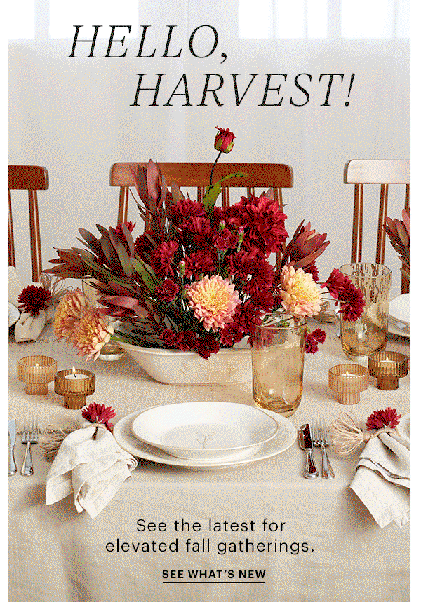 HELLO, HARVEST!  See the latest for elevated fall gatherings.  SEE WHAT'S NEW