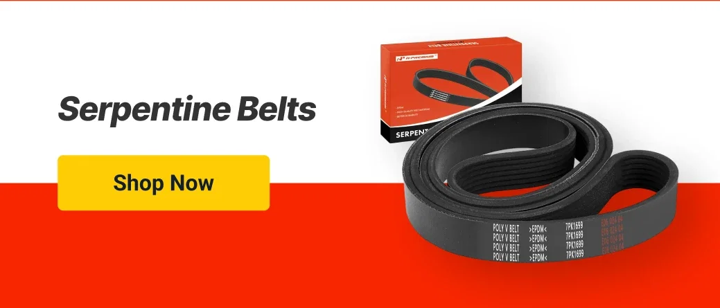 Serpentine Belts