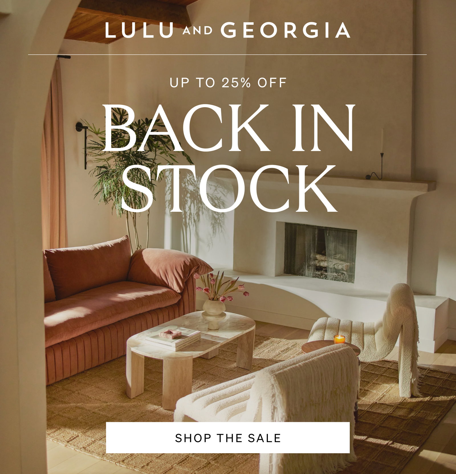 Shop Back In Stock