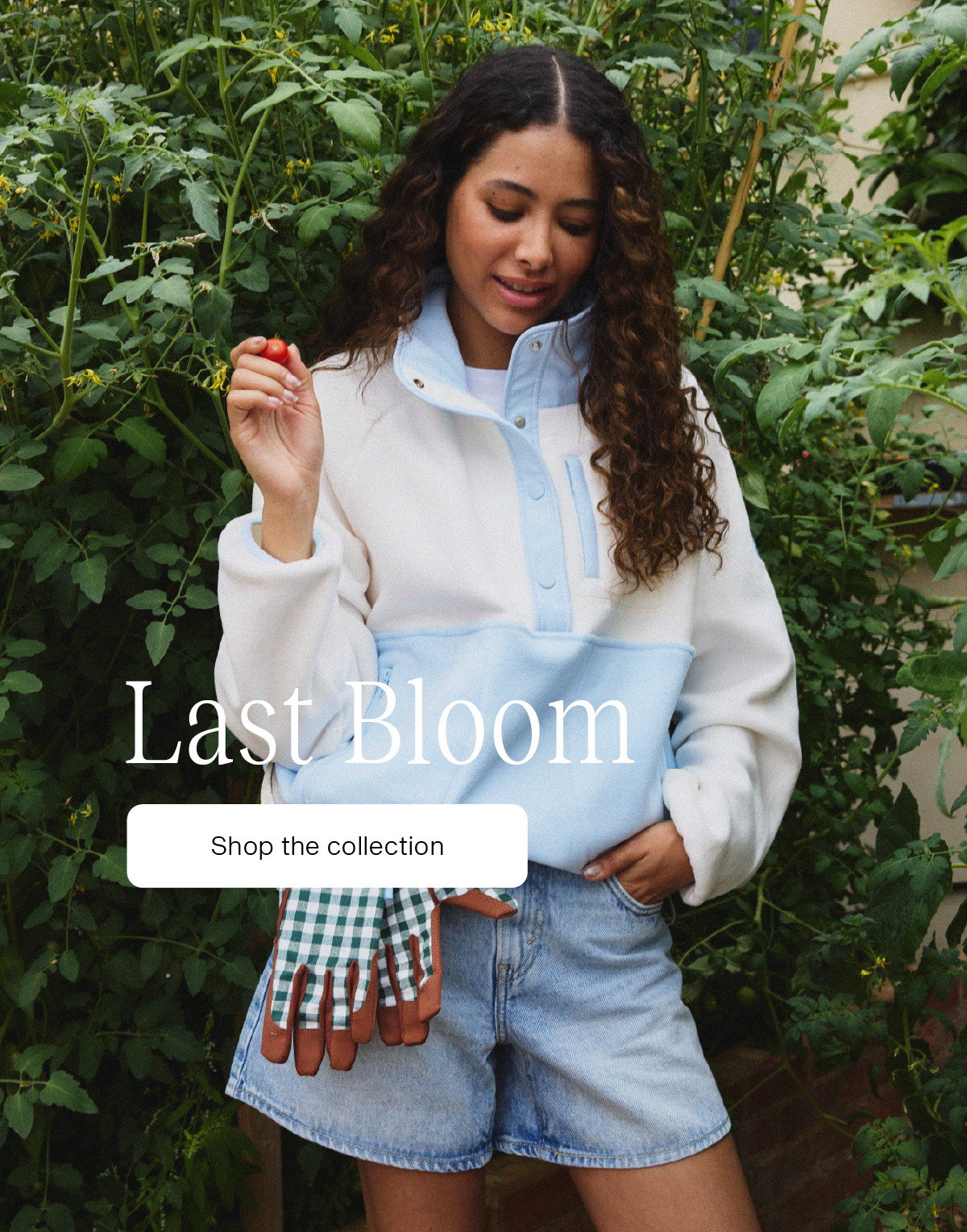 Last Bloom has arrived