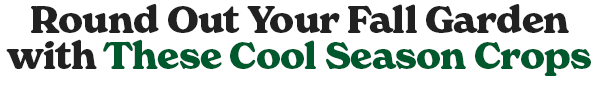 Shop all cool veggies
