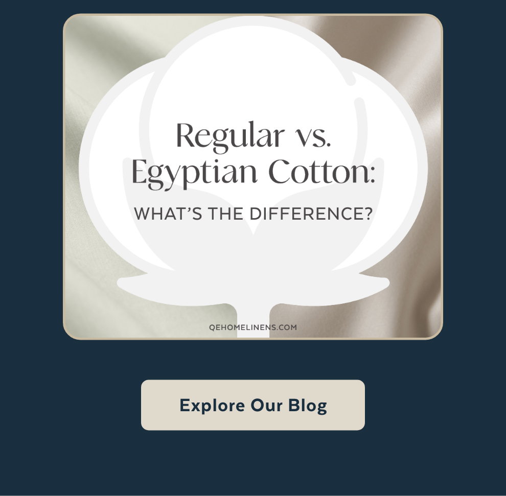 Regular vs. Egyptian Cotton: What’s the Difference? Explore Our Blog