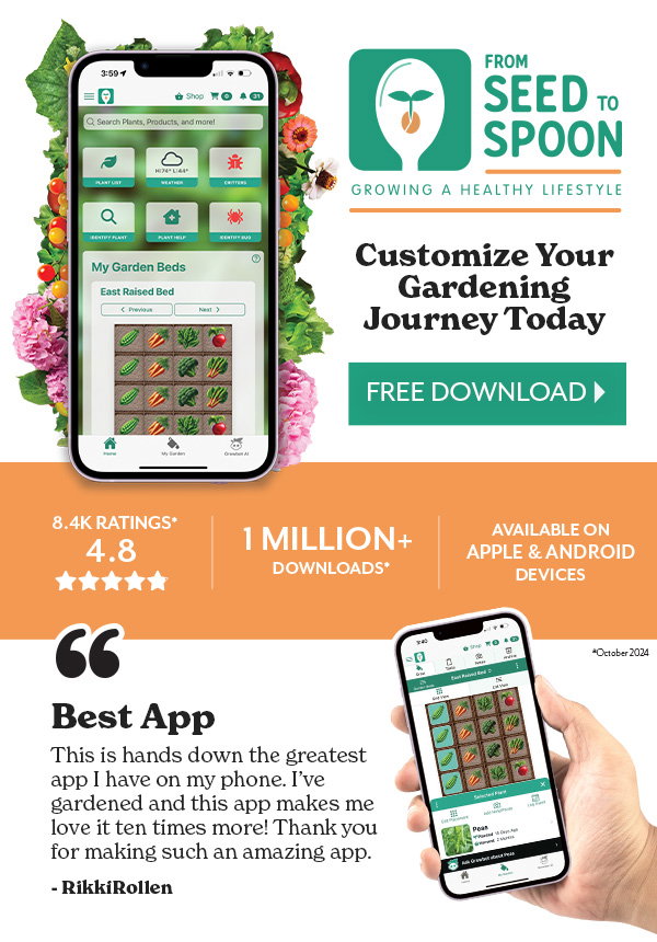 Seed to spoon