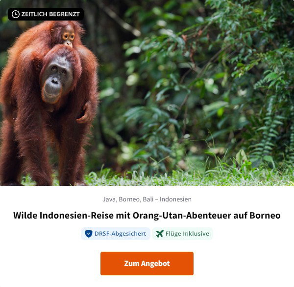 Wilde Indonesien-Reise mit Orang-Utan-Abenteuer auf Borneo