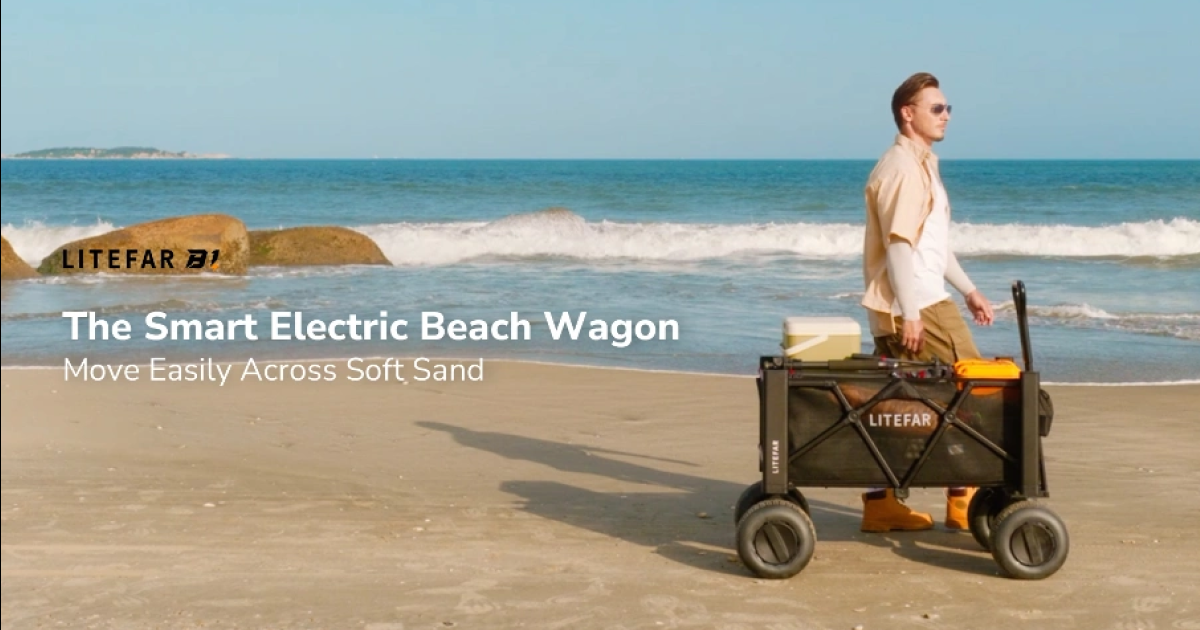 LITEFAR B1 Electric Beach Wagon