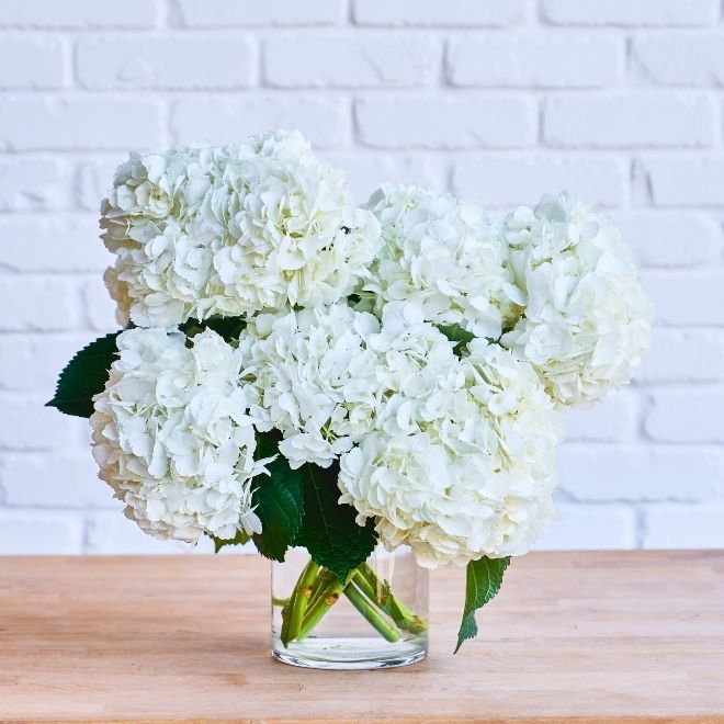 White hydrangeas styled in a vase.