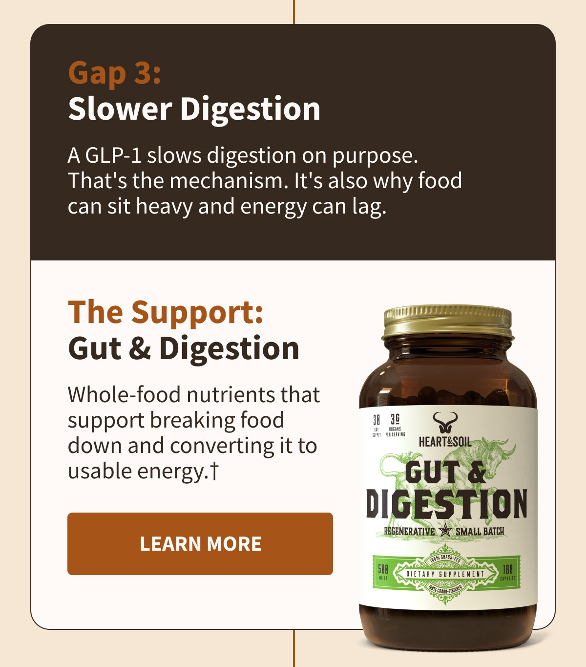 Gap 3: Slower Digestion  A GLP-1 slows digestion on purpose. That's the mechanism. It's also why food can sit heavy and energy can lag.  The Support: Gut & Digestion  Whole-food nutrients that support breaking food down and converting it to usable energy.†  [[LEARN MORE]]