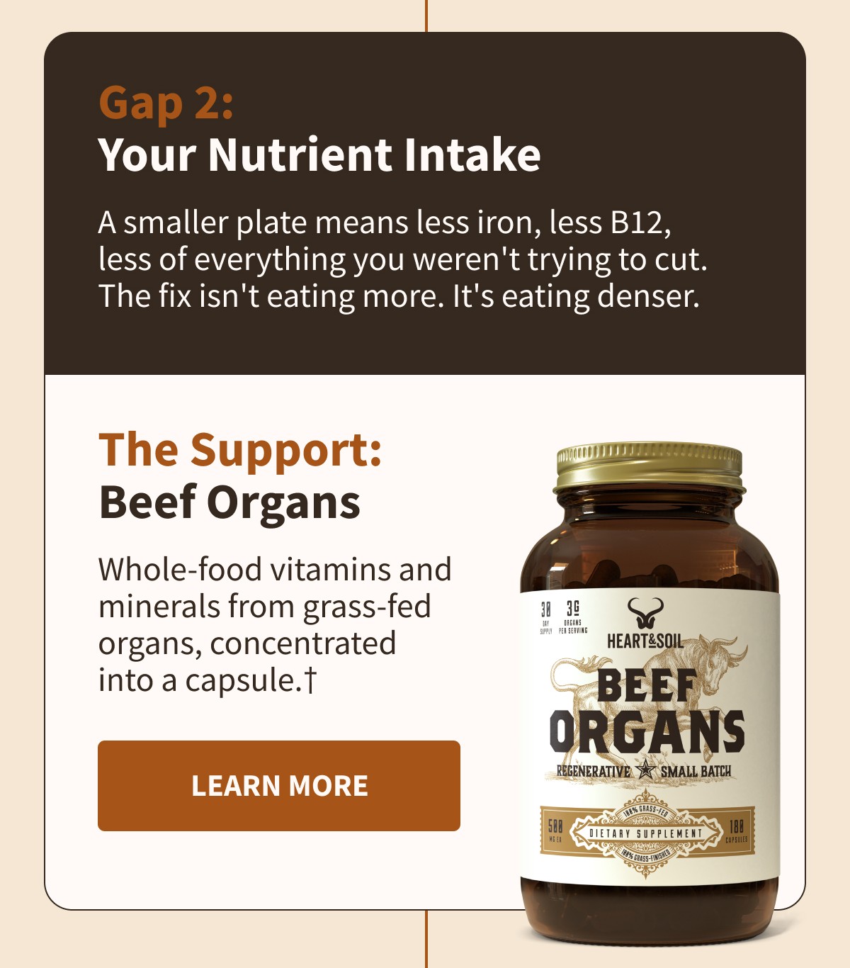Gap 2: Your Nutrient Intake  A smaller plate means less iron, less B12, less of everything you weren't trying to cut. The fix isn't eating more. It's eating denser.  The Support: Beef Organs  Whole-food vitamins and minerals from grass-fed organs, concentrated into a capsule.†  [[LEARN MORE]]