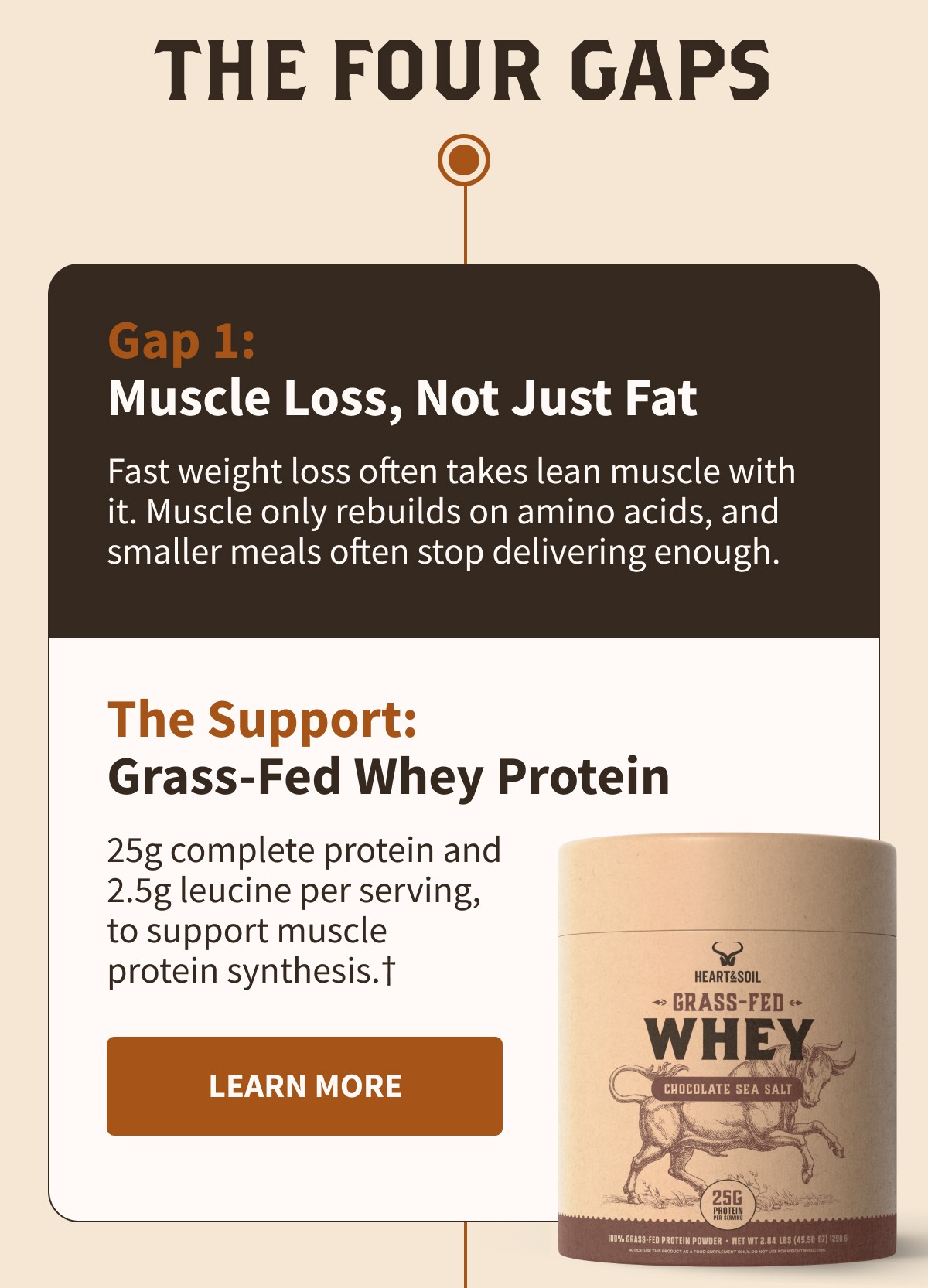 THE FOUR GAPS  Gap 1: Muscle Loss, Not Just Fat  Fast weight loss often takes lean muscle with it. Muscle only rebuilds on amino acids, and smaller meals often stop delivering enough.  The Support: Grass-Fed Whey Protein  25g complete protein and 2.5g leucine per serving, to support muscle protein synthesis.†  [[LEARN MORE]]