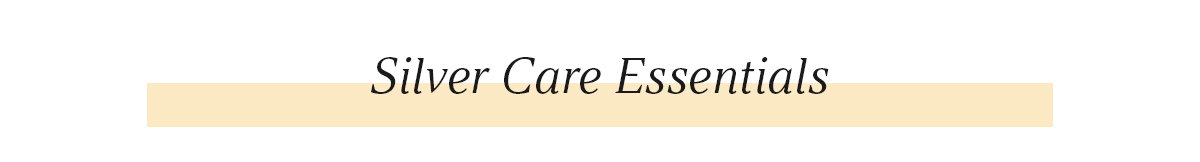 Silver Care Essentials