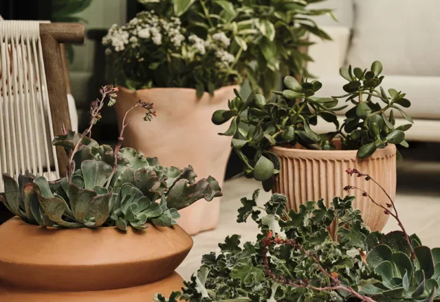 On-Trend Planters