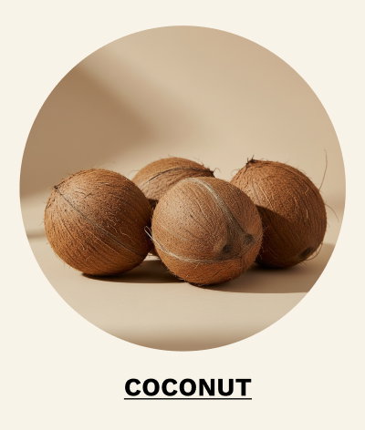 Shop Coconut