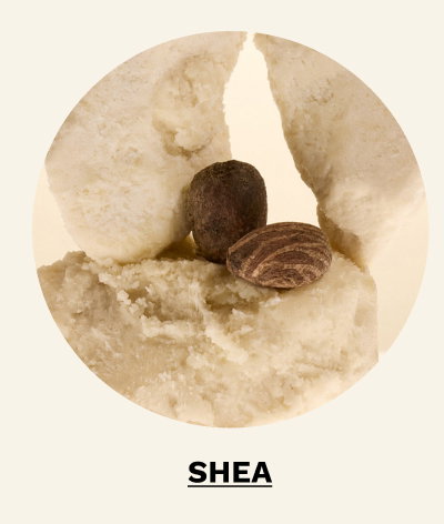 Shop Shea