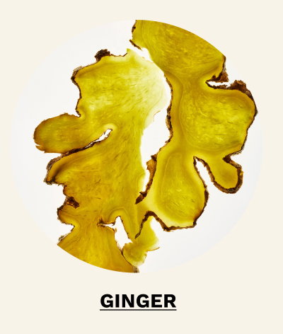 Shop Ginger