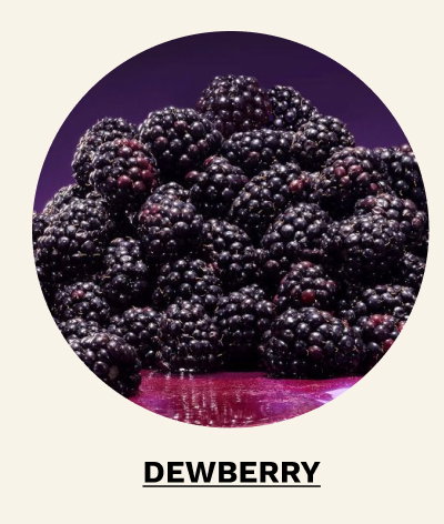 Shop Dewberry 
