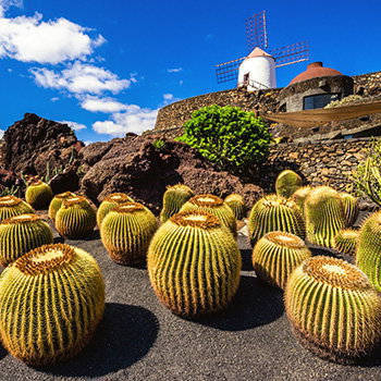 Lanzarote, Spain