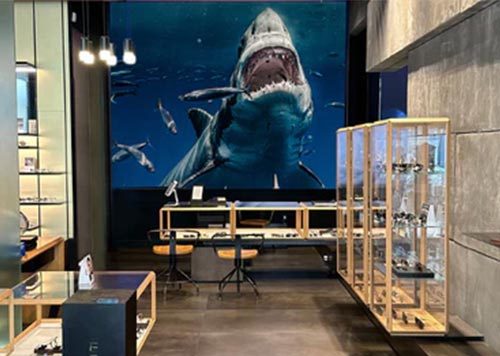 Flagship Locations