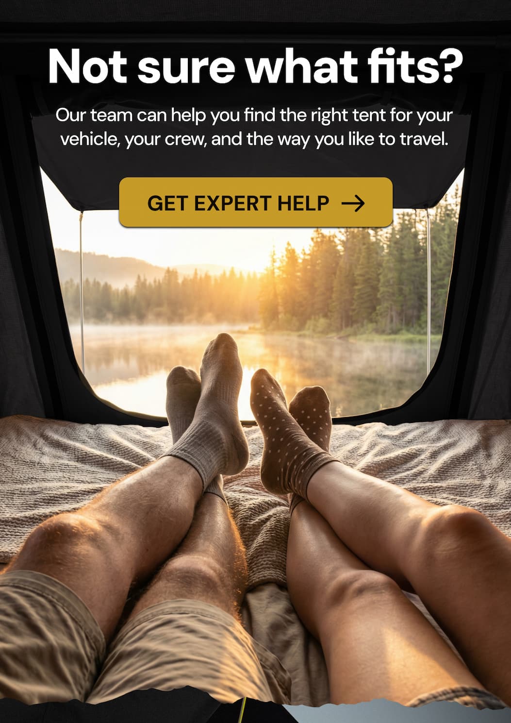 Roofnest is here to help