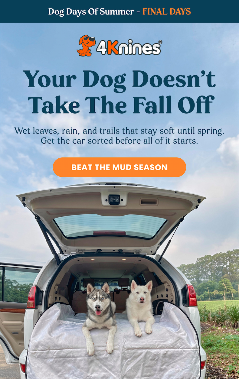 Your Dog Doesn't Take The Fall Off