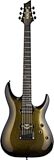 Schecter C-1 50th Anniversary