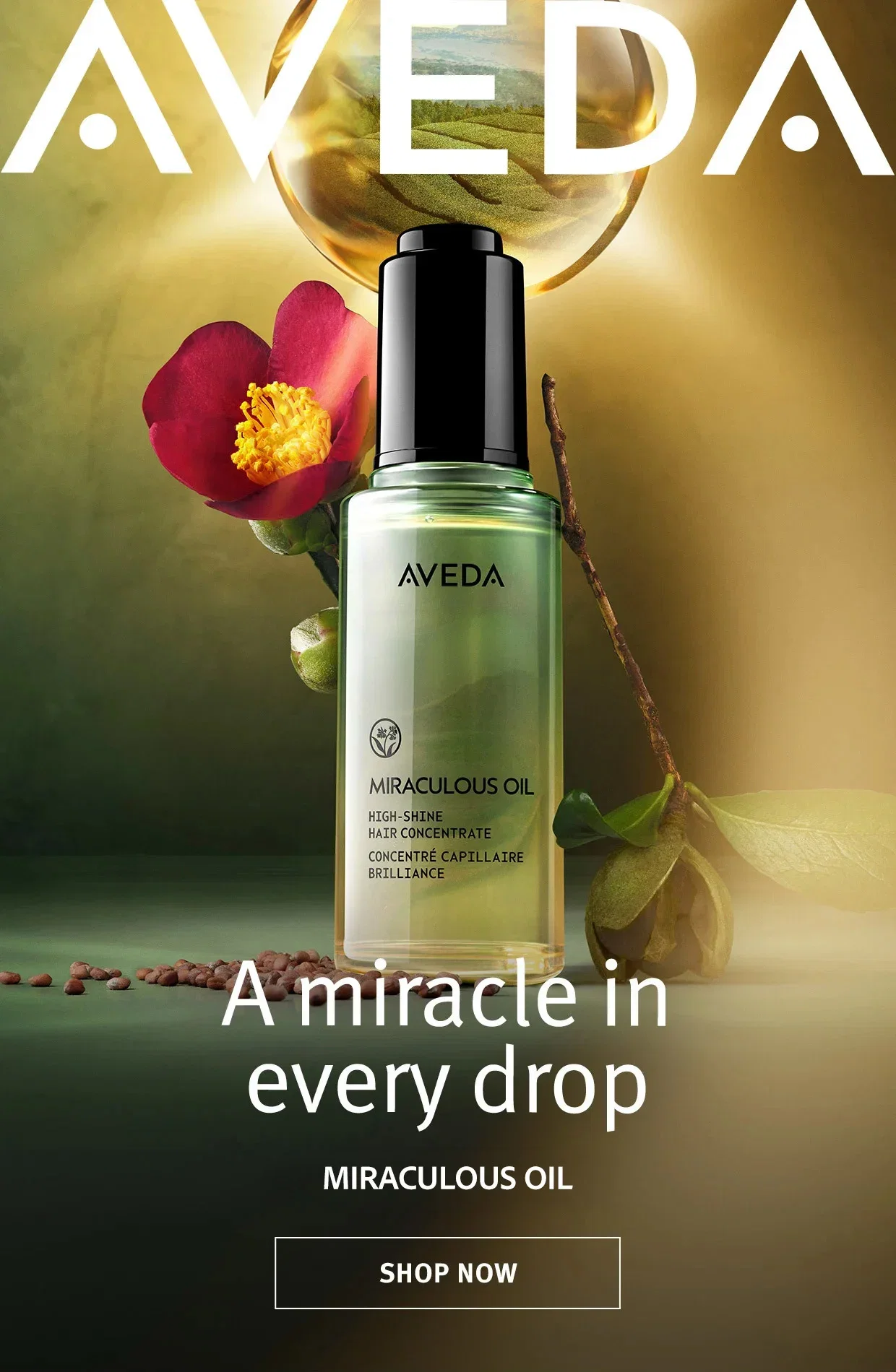 AVEDA | A miracle in every drop | MIRACULOUS OIL | SHOP NOW